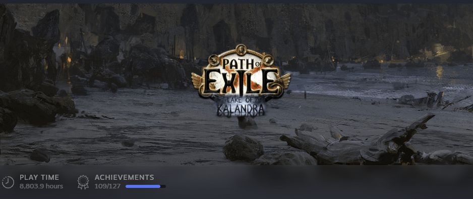 An image from steam showing my played hours for Path of exile. A whopping eight thousand plus.